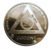 24 godziny - Miedz